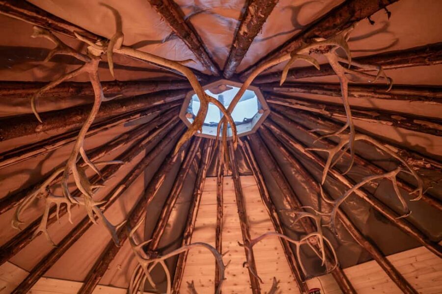 Balsfjord: Reindeer Sledding, Feeding & Sámi Culture - Key moments you’ll actually remember