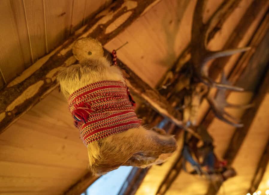 Balsfjord: Reindeer Sledding, Feeding & Sámi Culture - The Balsfjord day trip: what the schedule feels like