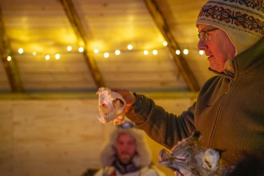 Balsfjord: Reindeer Sledding, Feeding & Sámi Culture - Price and value: is $225 worth it?