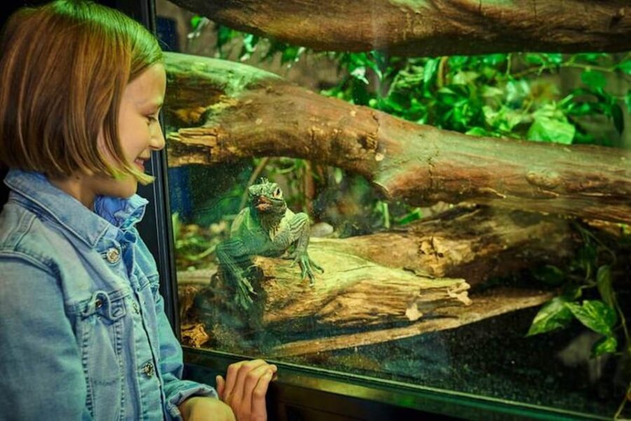 Bergen: Bergen Aquarium Entry Ticket - Cinema shorts and bilingual info: learning that doesn’t feel like homework