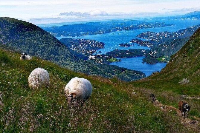 Bergen Classic Private hiking - Private hiking with up to 4: why the group size matters