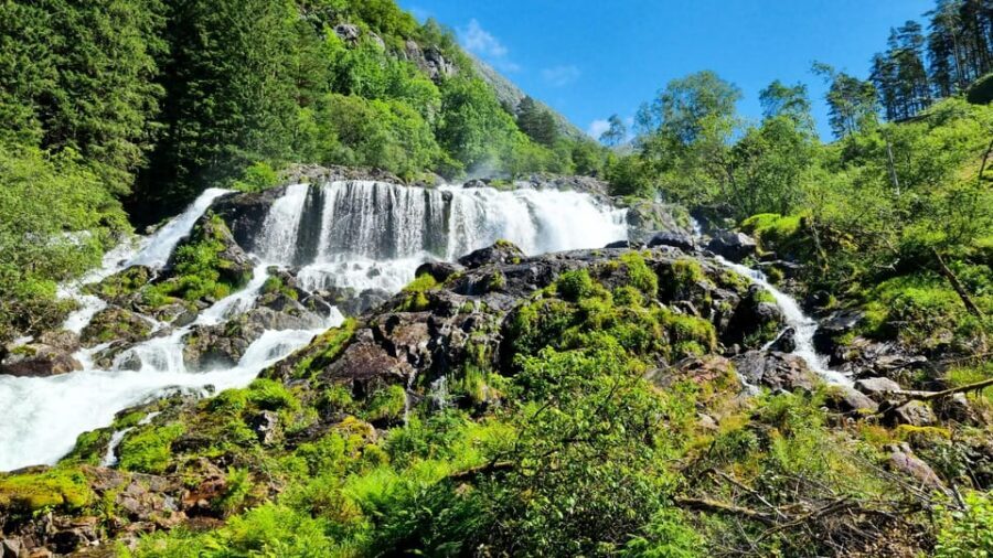 Bergen: Cruise to beautiful Rosendal by the Hardangerfjord - Key points to know before you go