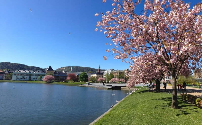 Bergen: Flam Railway, Viking Village Tour with Fjord Cruise - Weather, Timing, and Packing for a 10.5-Hour Schedule