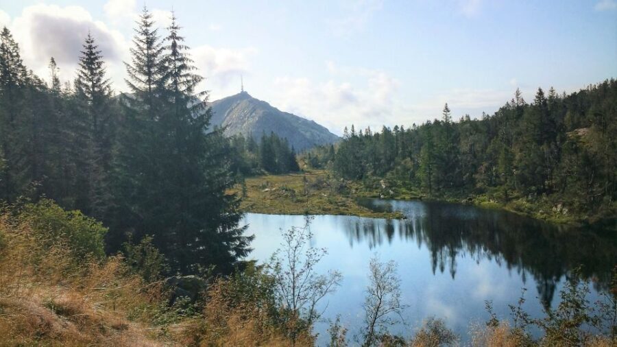 Bergen: Guided mountain hike on top of Bergen - Off-the-Beaten-Path Views Without the Long Day Trudge