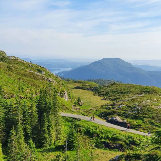 Bergen: Guided mountain hike on top of Bergen - The Fløibanen Funicular Ride: Easy Access, Separate Ticket Cost