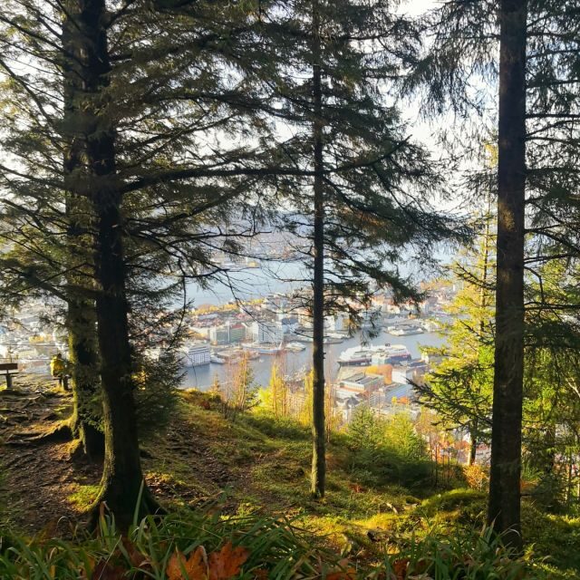 Bergen: Guided mountain hike on top of Bergen - Price and What $194 Really Buys You