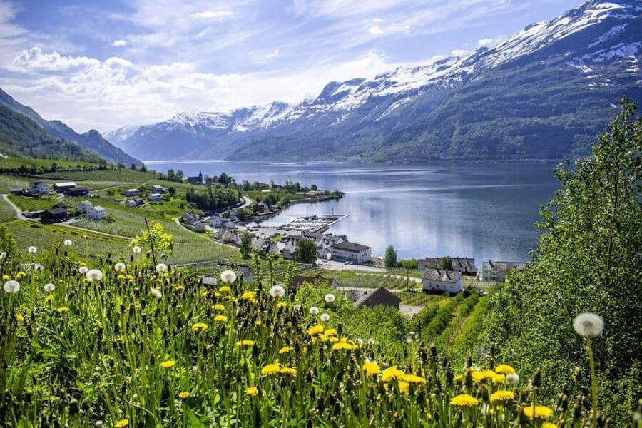 Bergen: Hardangerfjord & Waterfalls Bus Tour with Apple Pie - Apple pie in Hardanger: the sweet ending that actually feels earned