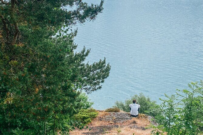 Bergen in a day, Guided tour: Old Town, Waterfalls & Waffles - Stone Age carvings at Salthammeren: 5,000 years staring back at you