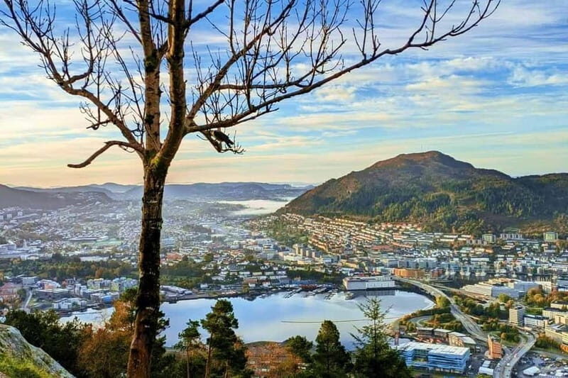 Bergen Like a Local: Culture, Views, and the Stave Church - Key reasons this Bergen tour works