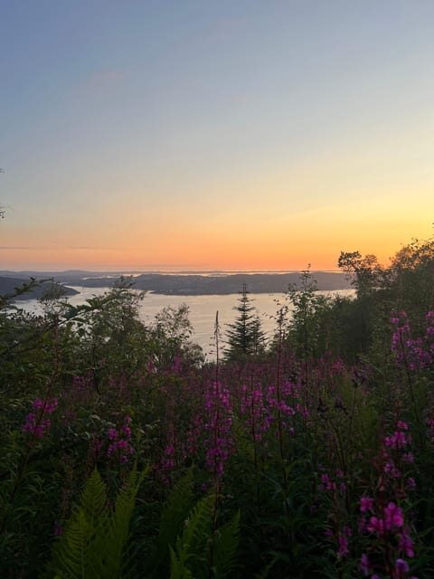 Bergen Magical Nature Tour | ViFlowExperience - Key moments worth centering