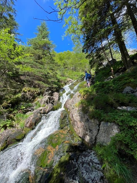 Bergen Magical Nature Tour | ViFlowExperience - Logistics you’ll actually care about
