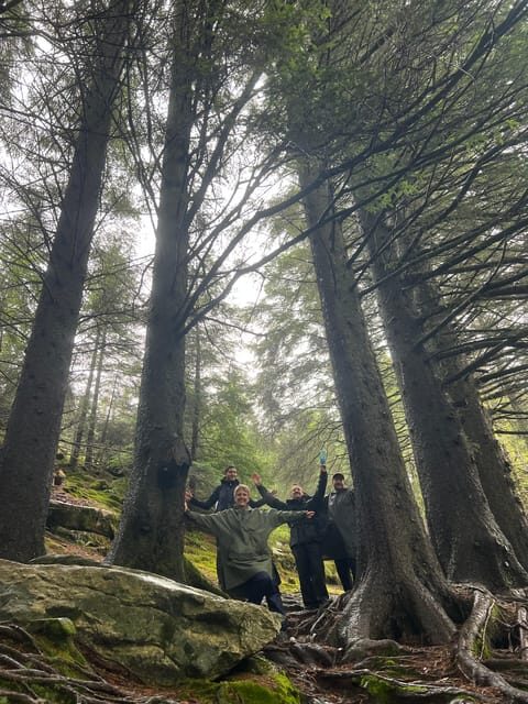 Bergen Magical Nature Tour | ViFlowExperience - Where the group pauses: snacks, a special drink, and a breather
