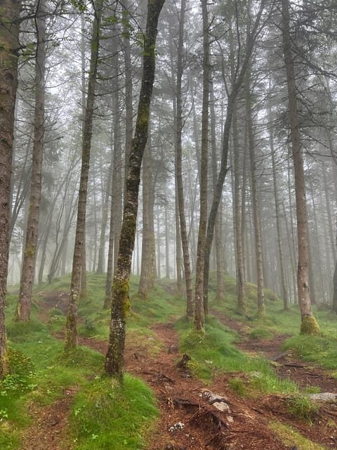 Bergen Magical Nature Tour | ViFlowExperience - The optional Norwegian sauna: fjord views and a proper reset
