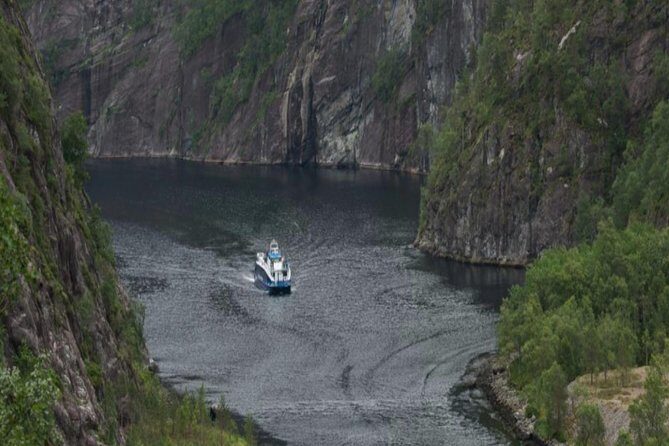 Bergen: Mostraumen Fjord Cruise - Wildlife spotting: seals, goats, and eagles (with realistic expectations)