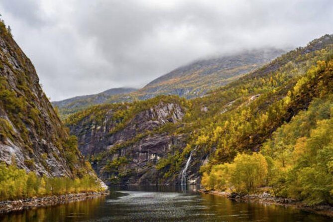 Bergen: Mostraumen Fjord Cruise - Price and what you’re really paying for