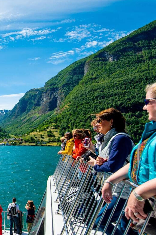 Bergen: Nærøyfjorden, Flåm, and Stegastein Guided Bus Tour - Who this Bergen fjord day fits best