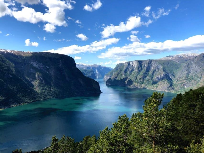 Bergen: Nærøyfjorden, Flåm, and Stegastein Guided Bus Tour - Flåm break: quick town time and lunch at your pace