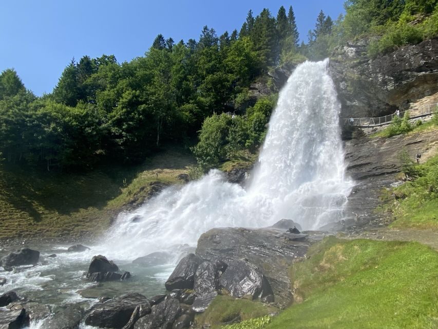 Bergen: Old Town and Waterfalls Guided Tour with Waffles - Stone Age carvings at Salthammeren: what you’re actually looking at