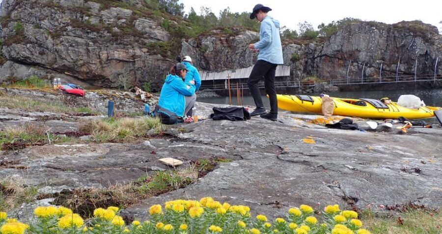 Bergen: Øygarden Islets Guided Kayaking Tour - Øygarden Islets: the Bergen nature detour worth your time