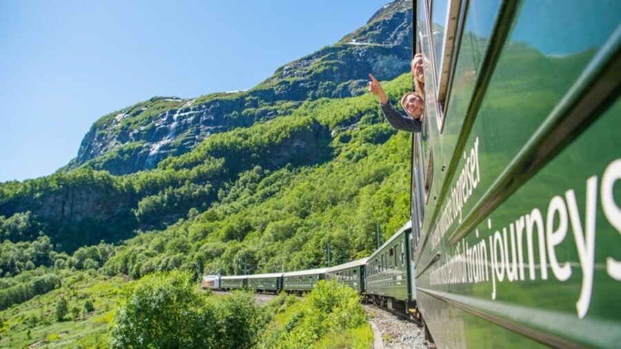 Bergen: Private Day Tour, Nærøyfjord Cruise and Flåm Railway - Key points before you go