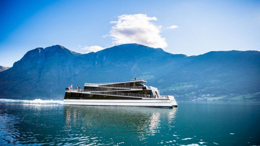 Bergen: Private Day Tour, Nærøyfjord Cruise and Flåm Railway - Who should choose this Bergen fjord day, and who should skip it