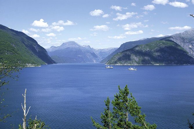Bergen: Private Full-Day Roundtrip to Hardangerfjord with cruise - Hardangervidda Nature Centre: use the museum to understand the scenery