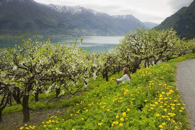 Bergen: Private Full-Day Roundtrip to Hardangerfjord with cruise - On the road back to Bergen: how the schedule actually feels