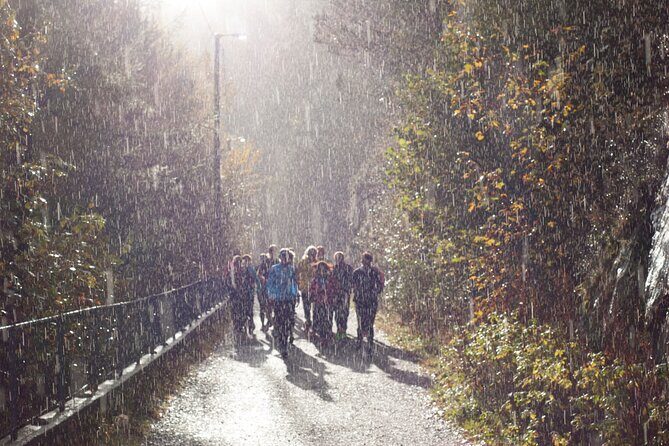 Bergen Private Walking Tour with a Local - Price and value: is $72.29 per person worth it?