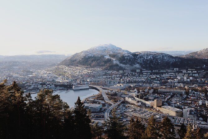 Bergen Private Walking Tour with a Local - The core Bergen sights your route can include