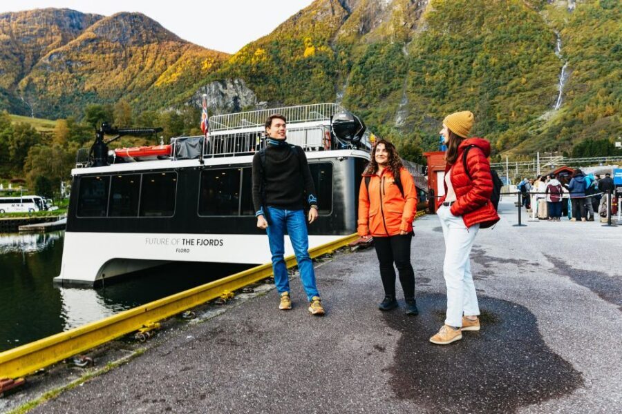 Bergen: Self-Guided Round-Trip Full-Day Excursion - What to Bring (And What to Skip) for a Smooth Fjord Day