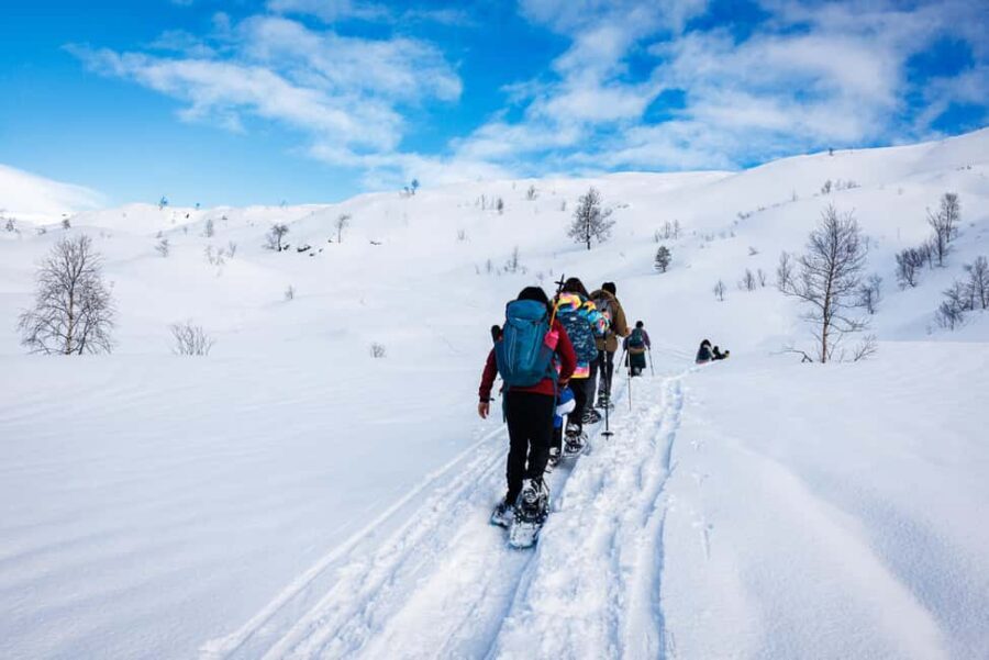 Bergen: Snowshoe Hike - Bergen Snowshoe Hike: Why This Winter Day Feels Like Norway, Not a Show