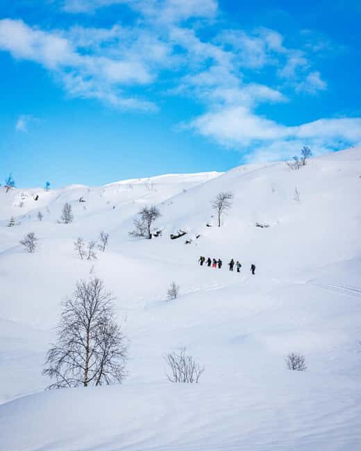 Bergen: Snowshoe Hike - Where You Meet at Strandkaien 3 and How the Timing Really Works