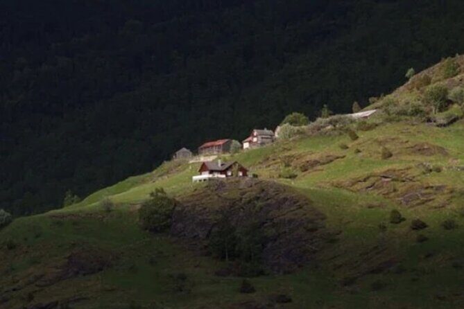 Bergen to Flam "The King of Fjords" One-Way or Round-Trip Cruise Ticket - Same-day return vs overnight return: pick the pace that fits you