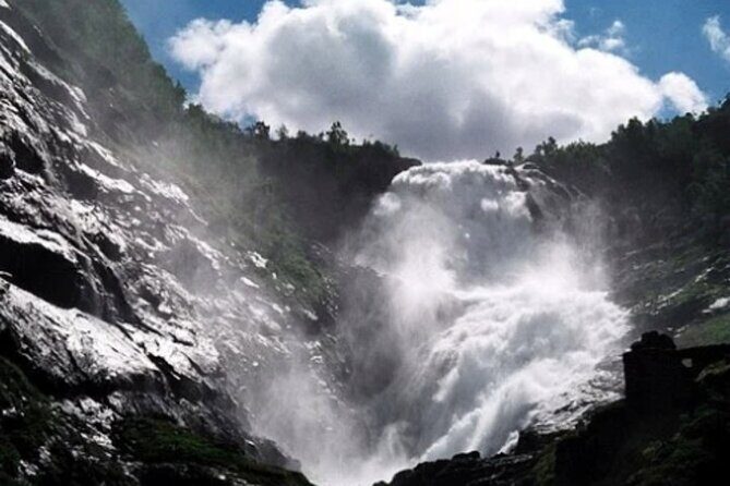 Bergen to Flam "The King of Fjords" One-Way or Round-Trip Cruise Ticket - Who this Bergen to Flåm fjord cruise ticket is best for