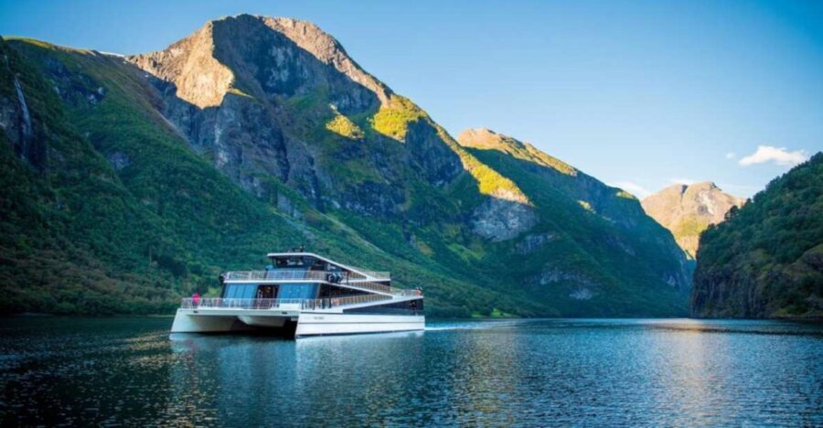 Bergen to Oslo: Private Nærøyfjord Cruise and Flåm Railway - Key things you’ll notice right away