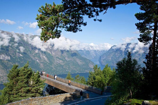 Bergen to Sognefjord Private Roudtrip with Cruise and Flasmbana - Price and value check for $780.91 per person