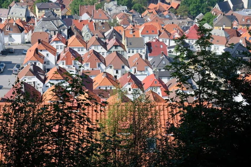 Bergen: Urban Mountain Hiking and History Tour - A 3-hour blend of Bryggen pier history and a local mountain trail