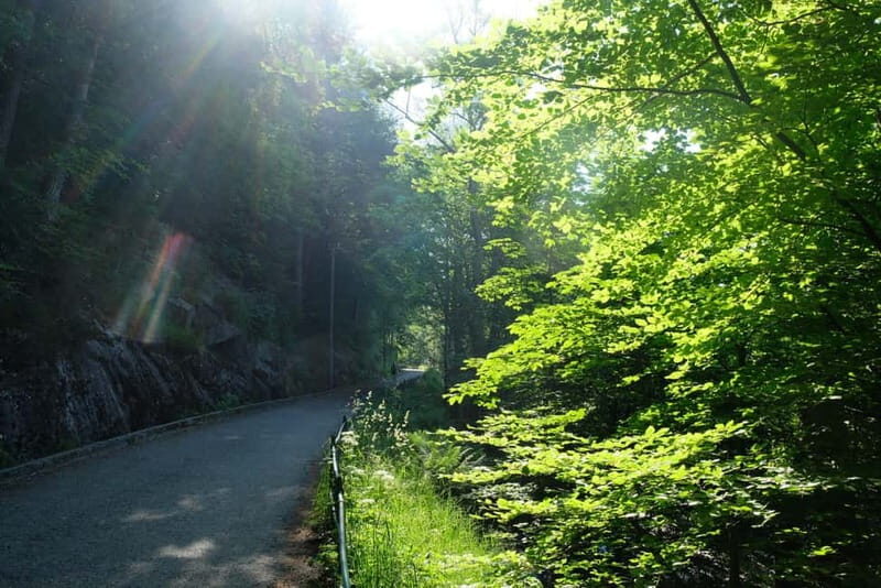 Bergen: Urban Mountain Hiking and History Tour - Sandviksfjellet hike: the trail locals use above Bergen