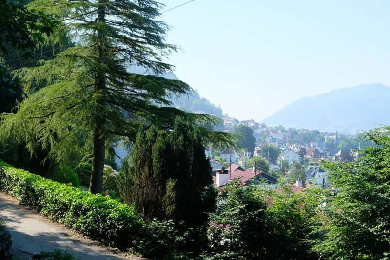 Bergen: Urban Mountain Hiking and History Tour - Should you book the Bergen Urban Mountain Hiking and History Tour?