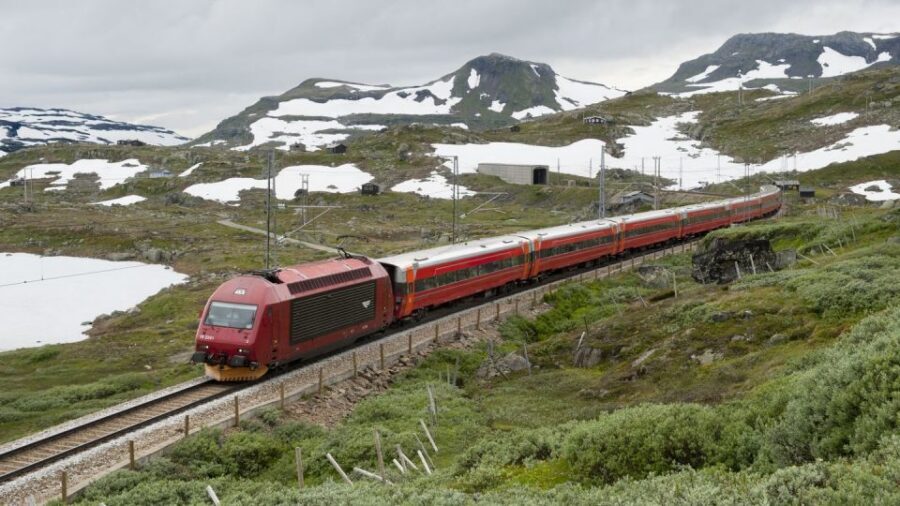 Bergen: Viking Village, Nærøyfjord Cruise & Flåm Railway - Myrdal switch and the Bergen Railway return: scenery keeps coming