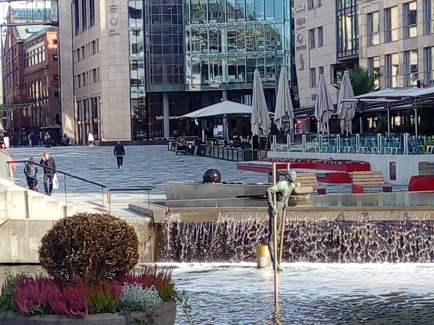 Best of Oslo: Walking Tour with a local guide - Practical expectations: what’s included, what’s not, and the rules