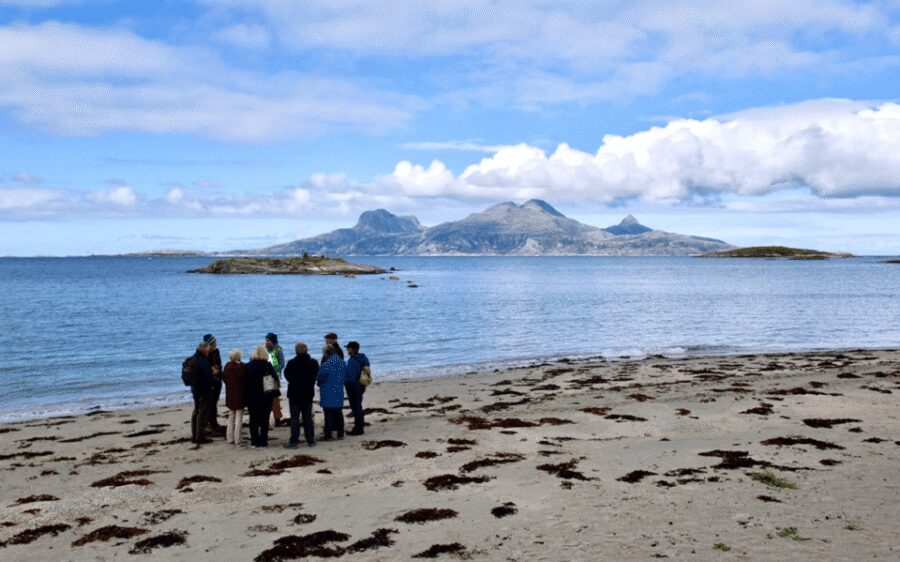 Bodø: Arctic Coastal Walk - The shoreline walk: seashell hunting, toe-dipping, and weather that keeps you awake