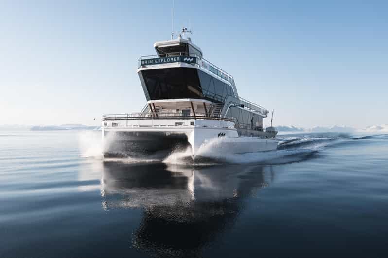 Bodø: Northern Lights Cruise - If the aurora doesn’t show: you still get a proper night out