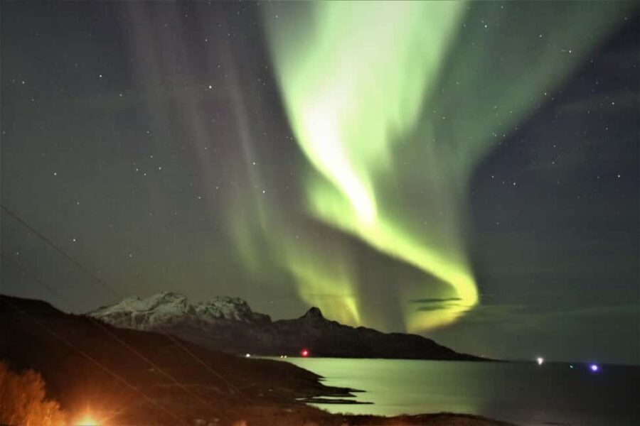 Bodø: Northern Lights safari - Photo Stop 1 (About 30 Minutes): A Fast Read on the Sky