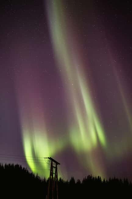 Bodø: Northern Lights safari - When the Aurora Shows Up: What to Expect Up Close