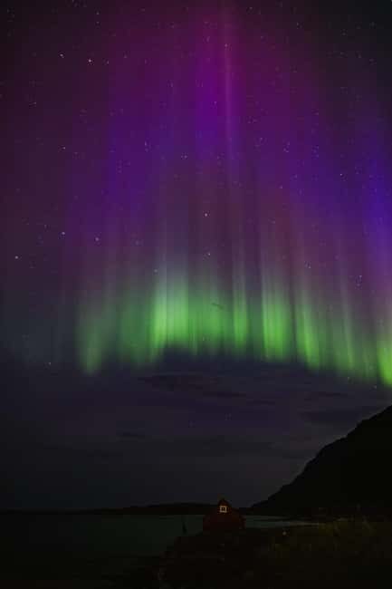 Bodø: Northern Lights safari - Meeting at the Radisson Blu: Start Smooth, Start Warm