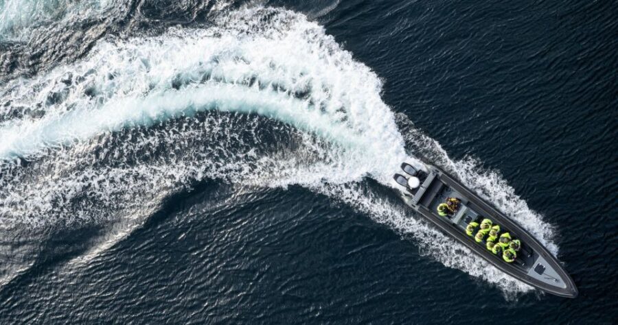 Bodø: Saltstraumen Sea Eagle Trip by RIB - Key Points to Know Before You Go