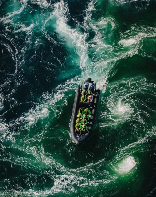 Bodø: Saltstraumen Sea Eagle Trip by RIB - Why This RIB + Sea Eagle Combo Works So Well