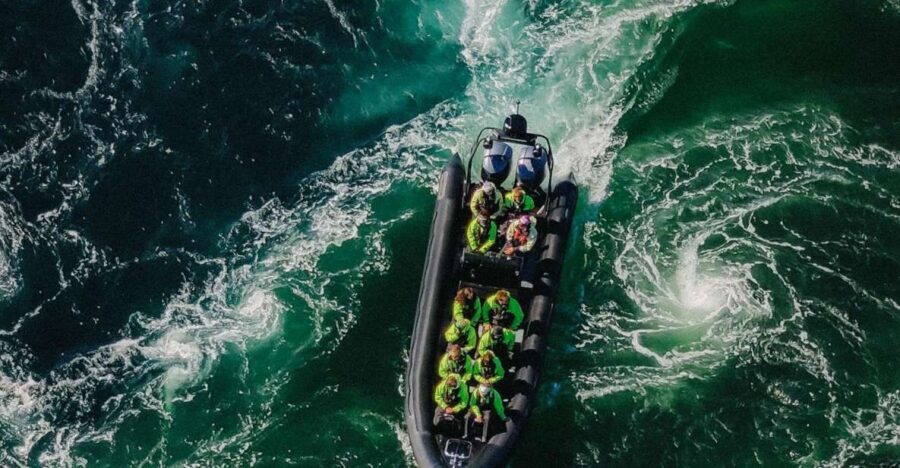 Bodø: Saltstraumen Sea Eagle Trip by RIB - Meet at Explore Salten and Get Your Bearings Fast