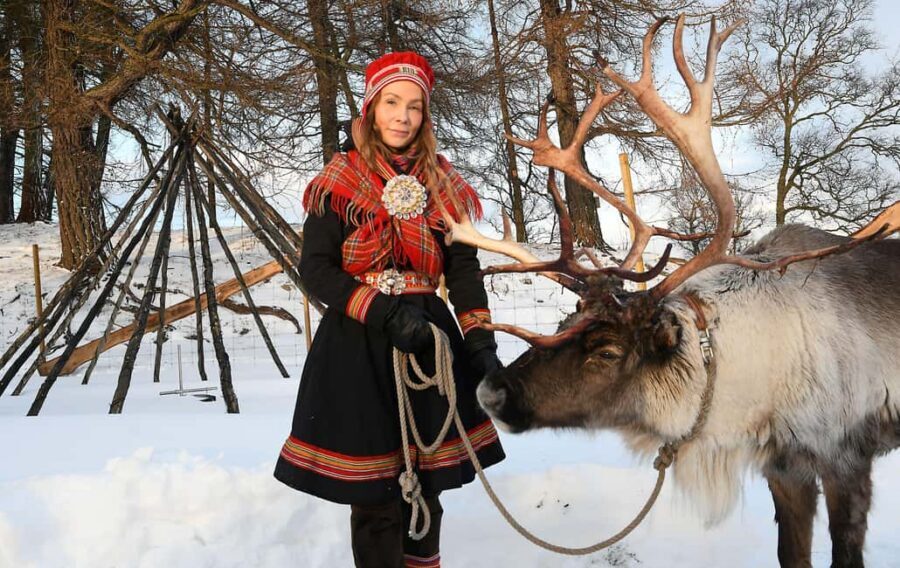 Bodø: Sami Experience in Bodø - Tame reindeer close-up: what you’ll likely do, and what to watch